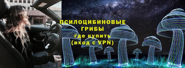 бошки Аркадак