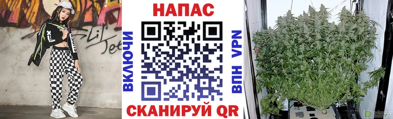 наркота  Сарапул  маркетплейс официальный сайт  Конопля ГИДРОПОН 
